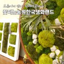 동천동꽃집 보존이끼 원데이수강 이끼액자 선물까지