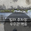 유정필로티