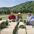 북부 농업협동조합 이미지