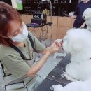 김고은그루밍# 네이버블로그