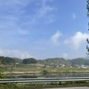 금용강변로 이미지