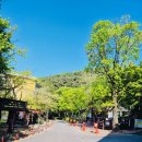 루나모텔 이미지