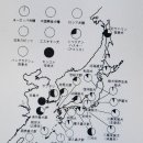 일본개의 기원과 역사(1996) 이미지