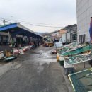 묵호어판장 이미지