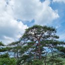 칠보산휴게소 이미지