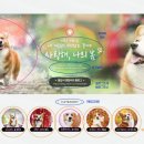 디자인35