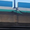 동운고가 이미지