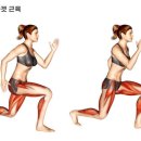 원트레이닝 센터 이미지