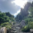 창원 성흥사 대웅전 | 신라시대 천년역사의 전통사찰 창원 우곡사 | 범어사 말사 | 벼락맞은 은행나무까지