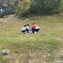 서리태피자 이미지