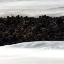 해덕농장 이미지