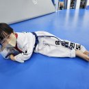 성품교육관 유신태권도장 이미지