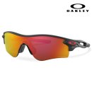 글로벌안경 이미지