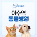 이수동물병원 이미지