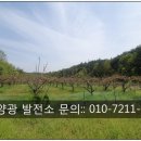 영천2 태양광발전소 이미지