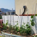 중리할머니경로당 이미지