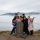 제주모담