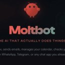 몰트 티스토리
