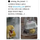 히로플 | 원주 히로플 수건케이크 후기