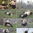 국보농장 이미지