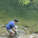 소양강가든 이미지