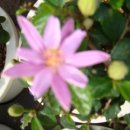 대주 농장 이미지