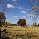 여주-1065 이미지