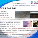 신우토탈 이미지