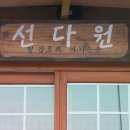 선다원 Daum카페