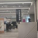 (주)에이치앤비 | 마곡 웨덱스 웨딩박람회 후기｜결혼준비 예신이 다녀온 솔직 리뷰