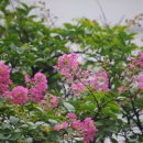 논현포대 이미지