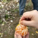 은하네농장 이미지