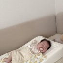 [육아템 후기] 머미쿨쿨베드｜머미쿨쿨 역류 방지 쿠션 _ 역류방지쿠션 후기