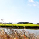 영암골프존 이미지