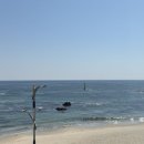 어달오션펜션 이미지