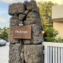 더포레스트하소로 | 제주애월감성숙소 제주애견동반숙소 더포레스트 하소로 내돈내산 후기