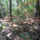 독봉산약수터 이미지