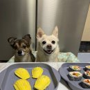 멍더랜드 이미지