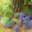 양지말공원 이미지