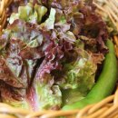 고덕갈비 이미지