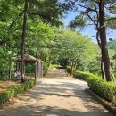 까치울마을4단지주차장 | 춘의산/도당산, 부천 도당근린공원 산책