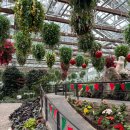 소금꽃정원 | 가평 아이와 갈만한곳, 포토존 가득한 베고니아 새정원 실내데이트 후기