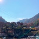 운일암반일암 국민여가캠핑장 이미지