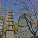 부길사 - 창원시 진해구 벚꽃로60번길 19-5 | 부길사