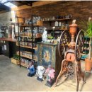 토브하르 이미지