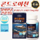 에버그린 이미지