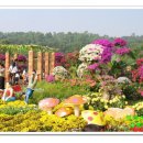 연화산민박 이미지