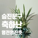 영진문구 이미지