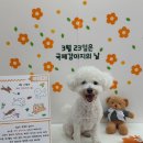 전주유치원 이미지