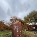 영월읍-12(태화산주차장) | 태화산 최단 등산코스 흥교농장~정상 왕복 5km 명품숲 힐링산행 난이도·시간 총정리!